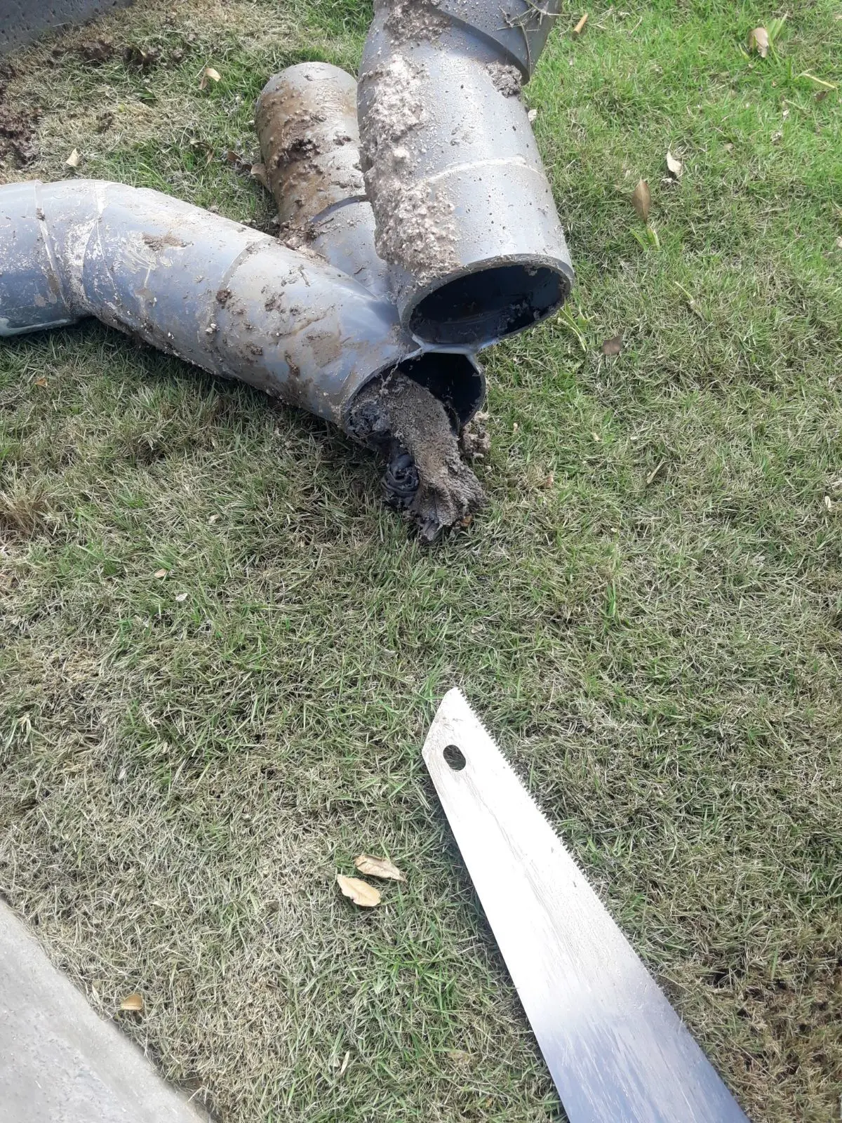 ChupaBeerput work